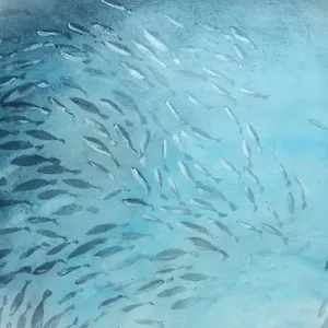 Racconti Di Mare - 5 Terre Jre La Spezia
